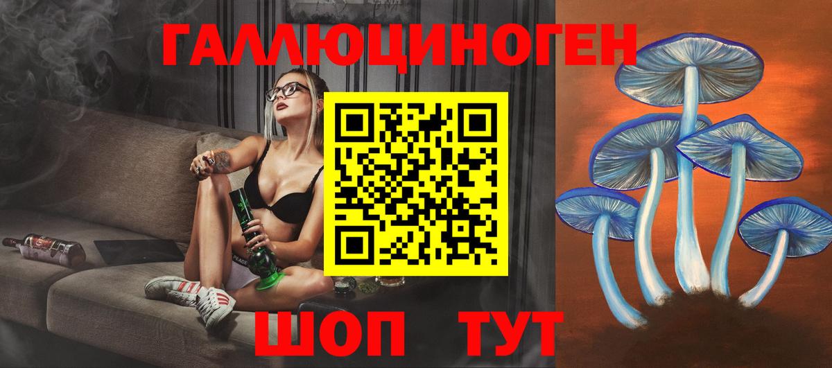 Псилоцибиновые грибы MAGIC MUSHROOMS Вичуга