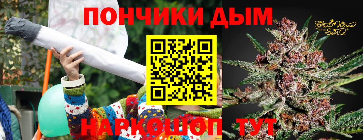 Канабис сатива Вичуга